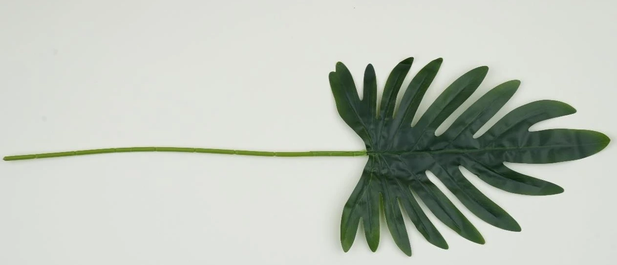 Janado Cut Leaf Big 82x47cm